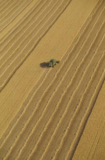 Mähdrescher in einem Weizenfeld, Luftaufnahme - BLEF11105