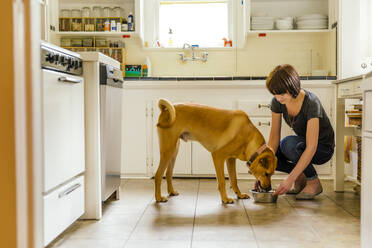 Kaukasische Frau füttert Hund in der Küche - BLEF11170