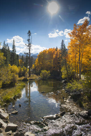 Herbstbäume und abgelegener See, lizenzfreies Stockfoto