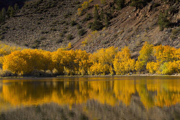Herbstbäume und Berghang, der sich im See spiegelt - BLEF11384
