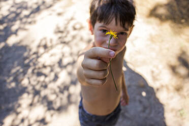 Gemischtrassiger Junge pflückt Blume - BLEF11583