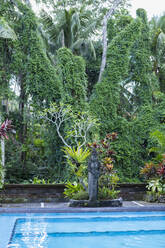 Pflanzen und Statue am Schwimmbad, Ubud, Bali, Indonesien - BLEF11614