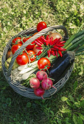 High angle view of basket of vegetables - BLEF11623