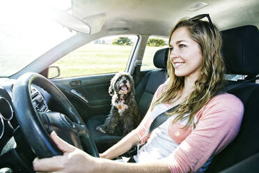 Caucasian woman driving with dog - BLEF11697