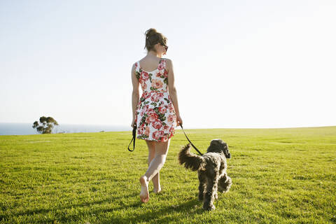 Kaukasische Frau geht mit Hund im Feld spazieren, lizenzfreies Stockfoto