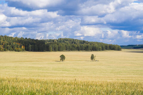 Feld in ländlicher Landschaft, lizenzfreies Stockfoto