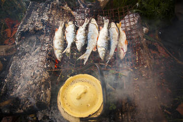 Fischgrillen über dem Lagerfeuer mit Dutch Oven - BLEF11801