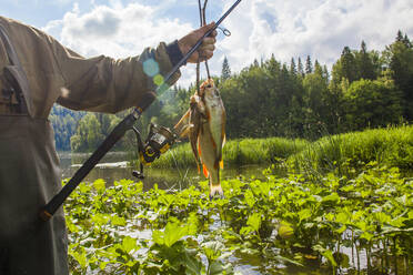 11,200+ Fishing Line Stock Photos, Pictures & Royalty-Free Images - iStock