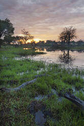 Sunset reflecting in remote river - BLEF11818