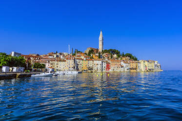 Die Hafenstadt Rovinj, Halbinsel Istrien, Kroatien, Europa - THAF02548