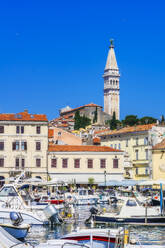 Die Hafenstadt Rovinj, Halbinsel Istrien, Kroatien, Europa - THAF02561