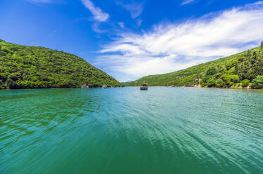 Der Limsky Fjord in Istrien, Kroatien, Europa - THAF02565