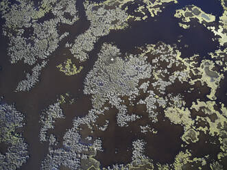 Aerial photograph of marshes near Elliot Island and Fishing Bay on the Eastern Shore of Maryland. This are sits between fishing Bay to the north and the Nanticoke River to the south. It is a prime birding and wildlife preserve. - BCDF00403