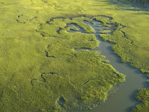 Marshes of the Machipongo River Accomack County on the Eastern Shore of Virginia, USA., lizenzfreies Stockfoto