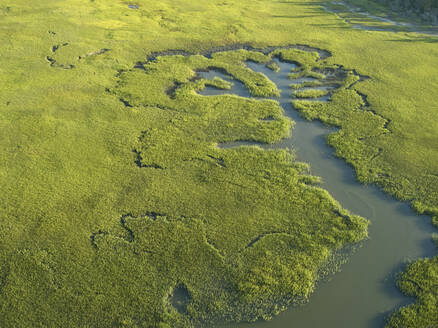 Marshes of the Machipongo River Accomack County on the Eastern Shore of Virginia, USA. - BCDF00408