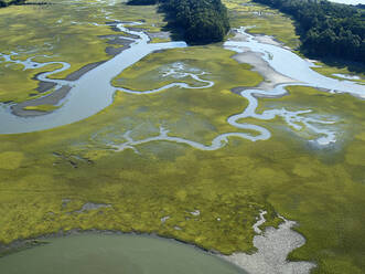 Aerial photograph of marshes along the Atlantic Coastline of Virginia near the community of Red Banks. - BCDF00411