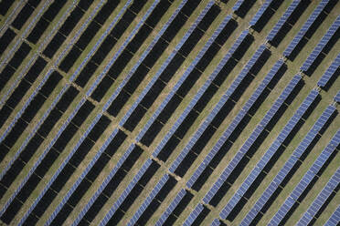 Aerial of solar panels and solar farm on the Eastern Shore of Virginia near the town of Eastville. - BCDF00413