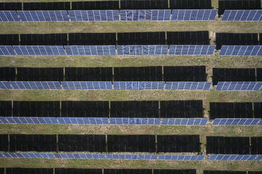 Aerial of solar panels and solar farm on the Eastern Shore of Virginia near the town of Eastville. - BCDF00414