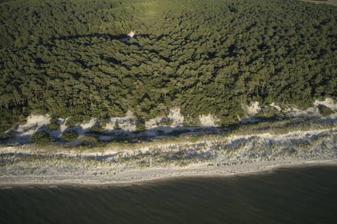 Aerial photograph of Savage Neck Dunes Natural Area Preserve the Eastern Shore of Virginia, USA. Savage Neck dunes is along the Eastern Shore line of the Chesapeake Bay and is one of the few remaining sand dunes in the bay. It is 298 acres (121 ha) sitting alongside the Chesapeake. The dunes are up to fifty-five feet in height (16.76 meters) and home to several threatened species. - BCDF00416