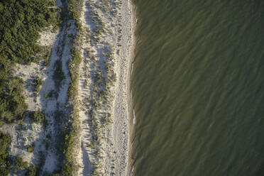 Aerial photograph of Savage Neck Dunes Natural Area Preserve the Eastern Shore of Virginia, USA. Savage Neck dunes is along the Eastern Shore line of the Chesapeake Bay and is one of the few remaining sand dunes in the bay. It is 298 acres (121 ha) sitting alongside the Chesapeake. The dunes are up to fifty-five feet in height (16.76 meters) and home to several threatened species. - BCDF00417