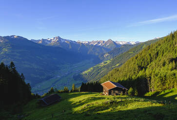 Zillertal, Almh�tten an der Zillertaler H�henstra�e in Zellberg, Ahornspitze und Dristner in Zillertaler Alpen, Tirol, �sterreich - SIEF08787