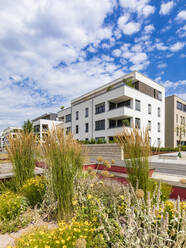 Passive house development area, Bahnstadt, Heidelberg, Germany - WDF05346