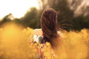 Rear view of young woman in a rape field - SEBF00114