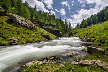 Bach im Passeiertal, Südtirol, Italien - STSF02128