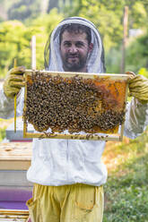 Imker kontrolliert Rahmen mit Honigbienen - MGIF00602