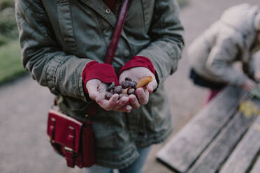Girl holding chestnuts in her hand - OGF00083