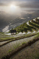 Rice paddy hills in remote landscape - BLEF11965