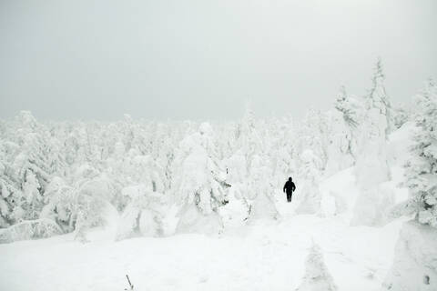 Kaukasischer Wanderer im verschneiten Wald, lizenzfreies Stockfoto