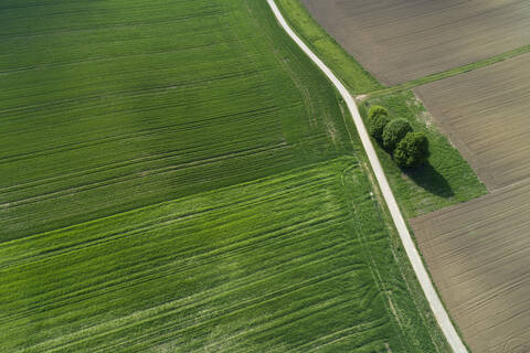 Luftaufnahme einer Landstraße durch landwirtschaftliche Felder, Franken, Bayern, Deutschland, lizenzfreies Stockfoto