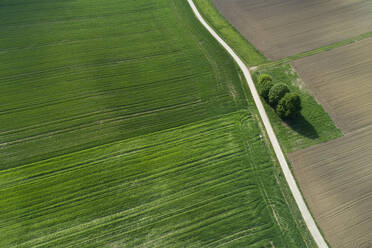 Aerial view of rural road through agricultural fields. Franconia, Bavaria, Germany - RUEF02264