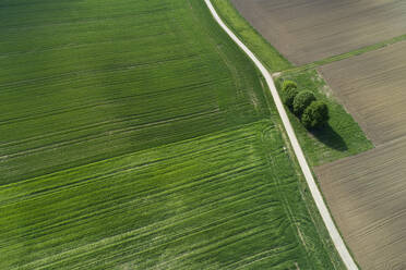 Luftaufnahme einer Landstraße durch landwirtschaftliche Felder, Franken, Bayern, Deutschland - RUEF02264