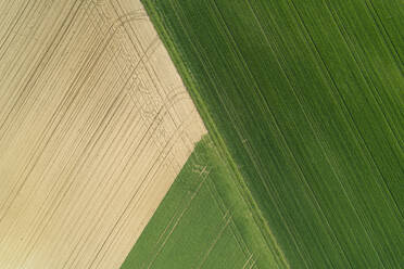 luftaufnahme von landwirtschaftlichen Feldern, Franken, Bayern, Deutschland - RUEF02265