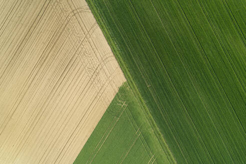 luftaufnahme von landwirtschaftlichen Feldern, Franken, Bayern, Deutschland - RUEF02265