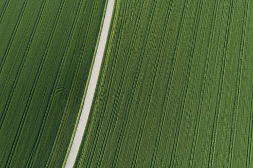 Luftaufnahme einer Landstraße durch landwirtschaftliche Felder, Franken, Bayern, Deutschland. - RUEF02266