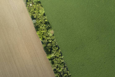 Aerial view trees and agricultural fields, Franconia, Bavaria, Germany - RUEF02278