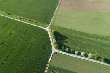 Luftaufnahme einer mit Bäumen gesäumten Straße mit Einschnitt durch landwirtschaftliche Felder, Franken, Bayern, Deutschland - RUEF02279
