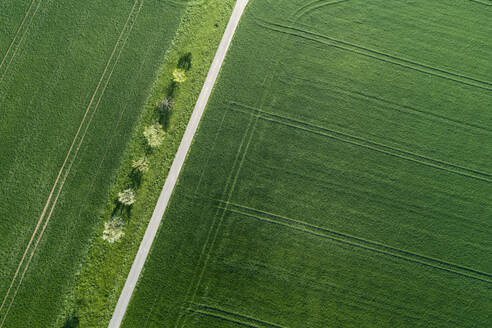 Luftaufnahme einer mit Bäumen gesäumten Straße durch landwirtschaftliche Felder Franken, Bayern, Deutschland - RUEF02280