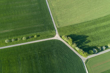 Aerial view of treelined road with intesection through agricultural fields, Franconia, Bavaria, Germany - RUEF02281