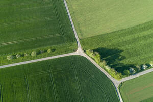 Luftaufnahme einer mit Bäumen gesäumten Straße mit Einschnitt durch landwirtschaftliche Felder, Franken, Bayern, Deutschland - RUEF02281