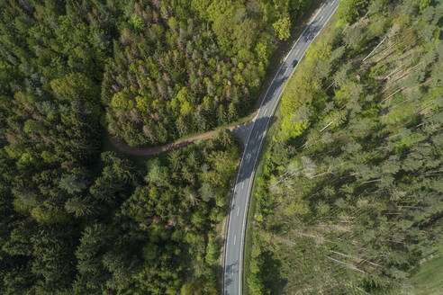 Aerial view of road through forest, springtime, Steigerwald, Franconia, Bavaria, Germany - RUEF02288