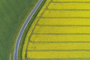 Abstract aerial view of rural road through agricultural fields with oilseed rape field and green wheat field, Franconia, Bavaria, Germany - RUEF02291