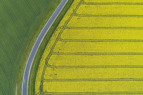 Abstrakte Luftaufnahme einer Landstraße durch landwirtschaftliche Felder mit Rapsfeld und grünem Weizenfeld, Franken, Bayern, Deutschland - RUEF02291