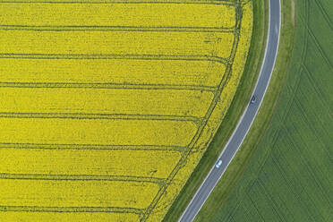 Abstract aerial view of rural road through agricultural fields with oilseed rape field and green wheat field, Franconia, Bavaria, Germany - RUEF02292