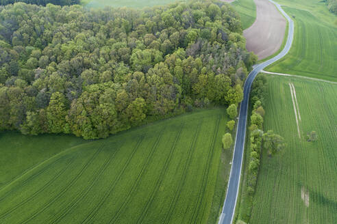 Luftaufnahme einer Landstraße mit landwirtschaftlichen Feldern und Wald, Franken, Bayern, Deutschland - RUEF02293