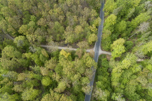 Aerial view of road through forest, springtime, Steigerwald, Franconia, Bavaria, Germany - RUEF02296