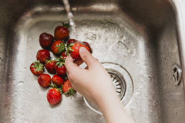 Hand washing strawberries in a sink - NMS00341